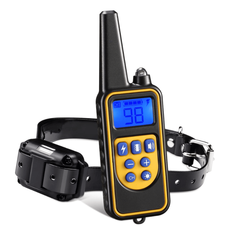 Electronic dog training store collars